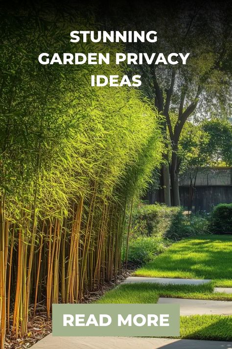 Stunning garden with tall bamboo providing privacy, neatly trimmed lawn, and a call-to-action button that reads "Read More". Bamboo Screening Ideas Outdoor Privacy, Ivy Fence Privacy Screens, Bamboo Privacy Fence Ideas, Privacy Screen With Plants, Outdoor Privacy Wall Ideas, Front Garden Privacy Ideas, Privacy Fence Ideas With Plants, Plant Privacy Wall, Privacy Fence Extension Ideas