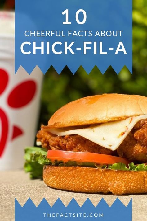 Chick-fil-A is well-known and loved for its chicken burger. Paired with their lemonade and waffle fries, it's easy to understand why so many people have become loyal fans of this fast-food chain. But aside from its famous burger, the brand is also renowned for giving out scholarships to its team members. Keep reading to find out more tasty and mouth-watering facts about Chick-fil-A. #TheFactSite #Facts #ChickFilA #FastFood #ChickenBurger #WaffleFries Airline Food, Crispy Waffle, The Best Burger, Waffle Fries, Breaded Chicken Breast, Chicken Sandwich Recipes, Chicken Burger, Favorite Chicken, Fast Food Chains