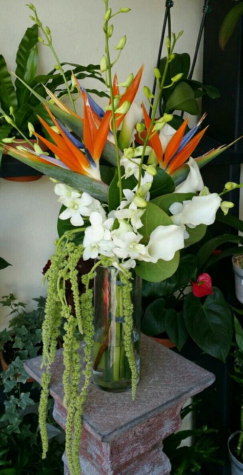 Bird Of Paradise Plant Arrangement, Bird Of Paradise And Orchid Bouquet, Elephant Ear Wedding Decor, Birds Of Paradise Table Centerpiece, Fake Tropical Flower Arrangements, Bali Flower Arrangement, Bird Of Paradise Arrangement Vase, Birds Of Paradise Floral Arrangement, Bird Of Paradise Bridal Bouquet