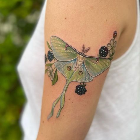 Elle Marie Carney on Instagram: "For Kassidy" Womens Moth Tattoo, Grasshopper Tattoo Design, Fauna Tattoo, Maple Moth Tattoo, Luna Moth And Mushroom Tattoo, Matching Moth Tattoos, Luna Moth Tattoo Color, Colorful Tattoo Ideas, Lunar Moth Tattoo Design