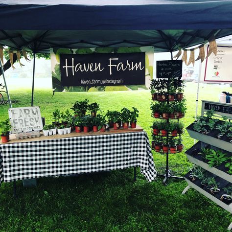 Farmers Market Table Display Ideas, Plant Sale Display Craft Fairs, Plant Farmers Market, Plant Market Display, Farmers Market Stalls, Farmers Market Plant Stand, Farmers Market Vegetable Display, Farm Stand Decor, Farmers Market Produce Display