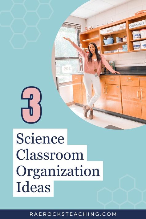 Check out these easy classroom organization middle school science ideas. Middle School Classroom Organization, High School Science Classroom, Biology Activity, High School Science Teacher, High School Lesson Plans, Middle School Science Classroom, Biology Classroom, High School Activities, Biology Teacher