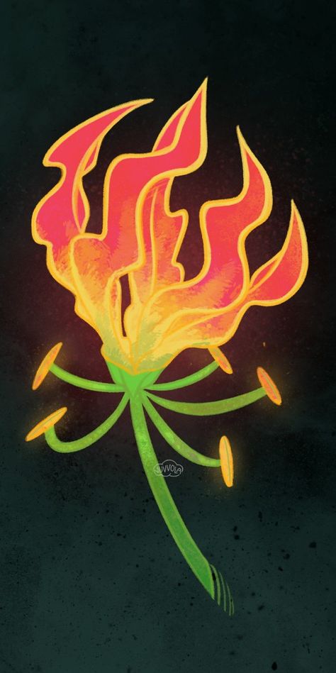 Fire or flower? Enjoy the dance of the petals / flames of the beautiful gloriosa superba lily plant. Hope you like my botanical art illustration! Having fun with botanical illustrations! Follow the link to get posters, stickers, t-shirts and many other products with this floral design! Fantasy Plant Drawing, Fire Lily Drawing, Flame Lily Drawing, Fire Illustration Art, Fire Illustration Design, Flames Illustration, Flame Illustration, Gloriosa Superba, Flame Lily