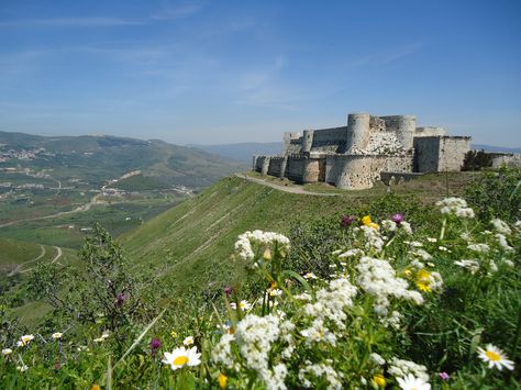 Ancient Syria, Homs Syria, Mediterranean Life, Syria Damascus, Lemon Trees, Damascus Syria, Asian Countries, Country Fashion, World Cultures