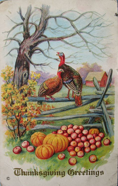 Vintage Thanksgiving Greetings, Vintage Thanksgiving Cards, Turkey Farm, Turkey Gifts, Thanksgiving Greeting, Thanksgiving Pictures, Thanksgiving Images, Thanksgiving Art, Thanksgiving Greetings