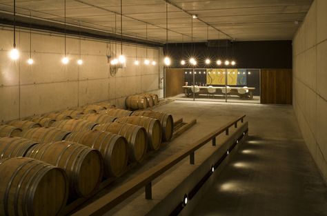 Gallery of Terra Remota Winery / Untaller - 5 Winery Interior Design, Winery Interior, Wine Cellar Lighting, Winery Design, Wineries Architecture, Winery Tasting Room, Terra Nova, Lighting Plan, Cellar Door