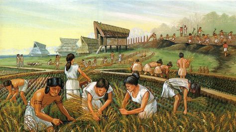 Rice revolution during Yayoi times Yayoi Era, Agricultural Revolution, Indus Valley Civilization, Economic Systems, Kamakura, Mesopotamia, Illustration Artists, Ancient Greece, World History