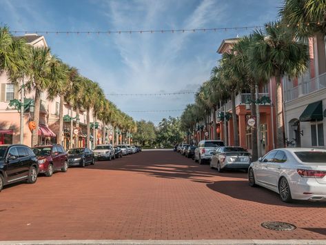 Celebration Florida, Dog Lounge, Dark History, Colonial Style Homes, Florida City, Disney Magic Kingdom, Florida House, Private Equity, Disney Springs