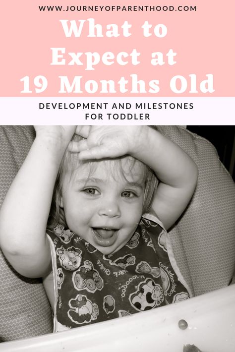 What to expect at 19 months old. The milestones and developmental leaps to anticipate for a 19 month old toddler. Check to see where your little one is compared to the norms for this age! #toddlermilestones #toddlerdevelopment #toddler #19monthsold Developmental Leaps, Baby Milestone Chart, 19 Month Old, Toddler Chores, Toddler Milestones, Parenting Help, So Silly, Toddler Development, Baby Prep