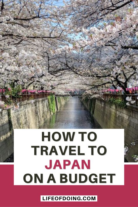 Cherry blossoms on Meguro River and the text of How to Travel to Japan on a Budget One Week In Japan Travel, Japan Top 10 Places To Visit, Japan Budget, Best Time To Travel To Japan, Trip To Japan Budget, Sasebo Japan, How To Plan A Trip To Japan, Japan On A Budget, Traveling To Japan