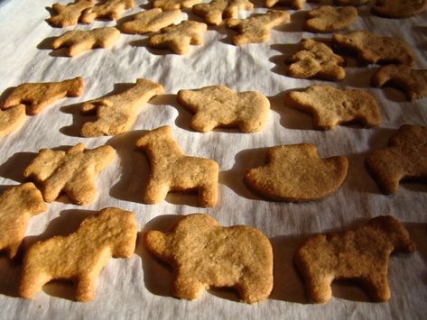 healthy animal crackers Animal Crackers Recipe, Pilgrim Life, Healthy Crackers, Eat Cookies, Cracker Recipes, Animal Crackers, Animal Cookies, Salty Snacks, Homemade Snacks