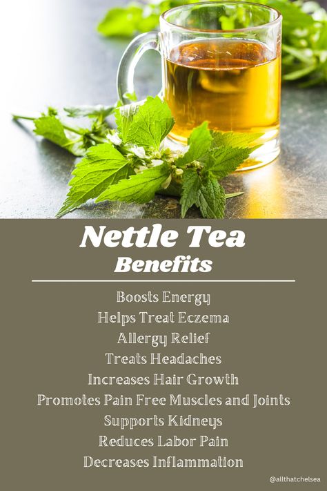 Stinging Nettle Tea Recipe, Nettle Tea Benefits Hair, Stinging Nettle Tea Benefits, Nettles Aesthetic, Nettle Leaf Tea Benefits, Fit Body For Vision Board, Stinging Nettle Recipes, Nettle Tea Recipe, Stinging Nettle Benefits