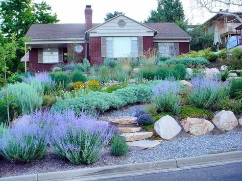 Perennial Garden Design, Xeriscape Front Yard, Low Water Landscaping, Xeriscape Landscaping, Water Wise Plants, Waterwise Garden, Front Yard Design, Front Yard Garden Design, Garden Shrubs