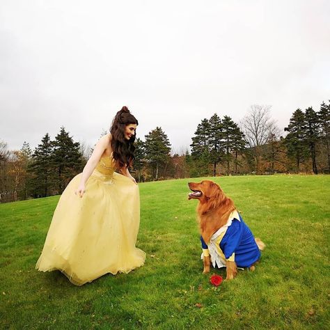 Dog Halloween costumeGolden RetrieverBeautythe Beast 6 Halloween Costumes, Beast Halloween Costume, Golden Retriever Halloween Costume, Beauty And The Beast Halloween Costume, Golden Retriever Costume, Beauty And The Beast Halloween, Dog And Owner Costumes, Cute Dog Halloween Costumes, Puppy Halloween Costumes