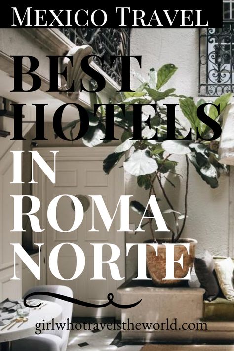 Learn where to stay in one of Mexico City's hippest neighborhoods: Roma Norte. Roma Norte Mexico City, Hotel Roma, Adventure Travel Explore, Hotel Boutique, Travel Vlog, City Hotel, April 13, Cozumel, Mexico Travel