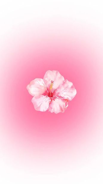 Habisquis Flower Wallpaper, Hawaiian Hibiscus, Flower Iphone Wallpaper, Hibiscus Flower, Summer Wallpaper, Pink Summer, Hibiscus Flowers, Flower Wallpaper, Connect With People