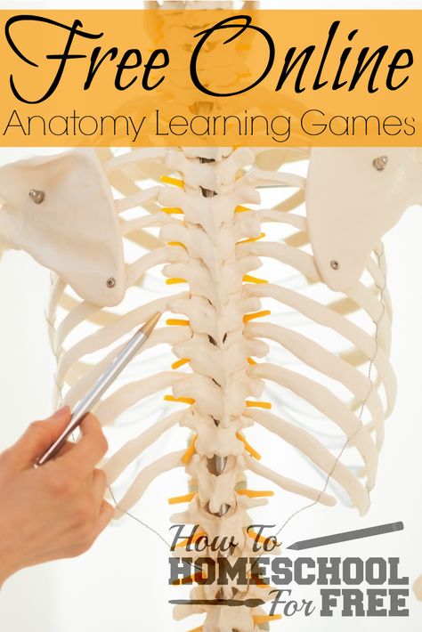 Learning Anatomy, Anatomy Learning, Games For Learning, How To Homeschool, Importance Of Time Management, Nursing Programs, Science Games, Online Degree, Free Homeschool