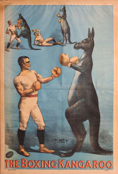 The Boxing Kangaroo. Poster | Kangaroo ... Boxing Gloves Tattoo, Boxing Tattoos, Boxing Kangaroo, Plymouth England, Australian Icons, City Mom, Royal Australian Air Force, The Boxer, National Symbols