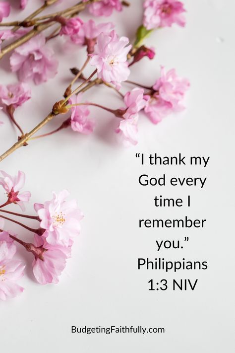 How can you show someone you appreciate them today? I can offer to pray for them. I can send them a thank you note. I can do something to serve them. I can call them. I can send them a text. Follow, like, or share this daily inspiration. #bibleverseoftheday #appreciation #christians #blogger Best Thank You Notes, Pray For Them, Peace Scripture, Seek The Lord, Encouraging Bible Verses, Encouraging Scripture, Daily Scripture, Verse Of The Day, Thank You Notes