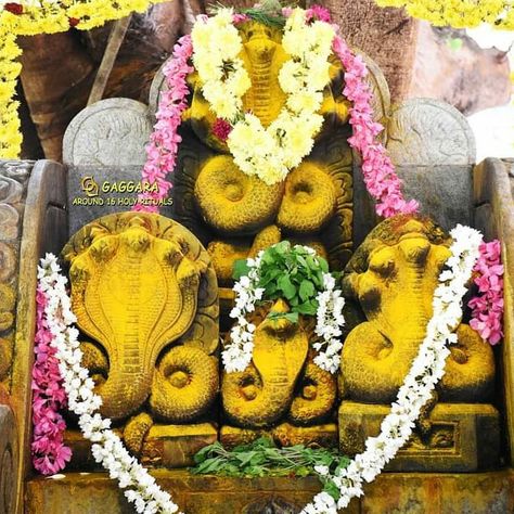 #naag #panchami #nagarapanchami #festivals #tulunad #celebration #indian #culture #incredibleindia #gaggaraaround16holyrituals Nagara Panchami Photos, Nagara Panchami, Lord Venkateswara Images Full Hd 4k, Naag Panchami, Love Quotes In Telugu, Lord Venkateswara, Sai Baba Hd Wallpaper, Indian Culture, Photo Art Gallery