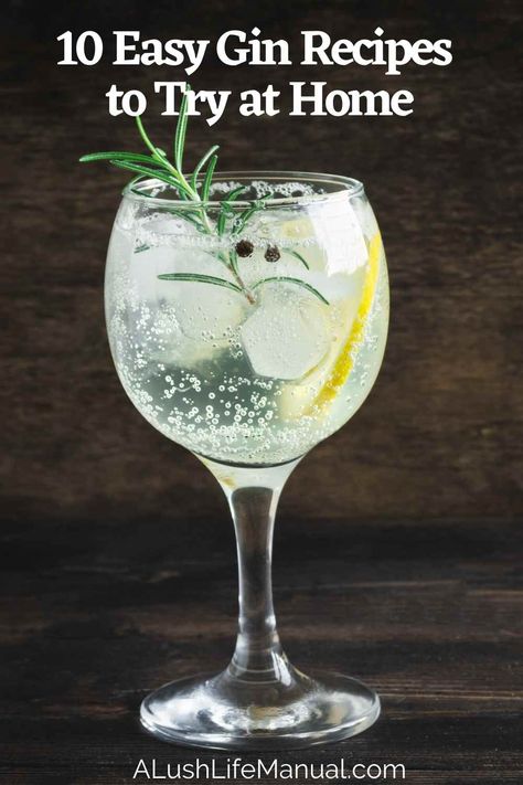 Simple Gin Drinks, Gin Mixed Drinks, Best Gin And Tonic, Gin Tonic Recipe, Bottle Of Gin, Gin Gimlet, Gin Drink Recipes, Easy Gin Cocktails, Gin And Soda