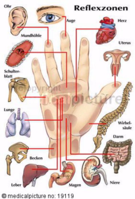 Image result for hand reflexology Hand Reflexology Chart, Reflexology Pressure Points, Healing Reflexology, Bodyweight Workout Routine, Ear Reflexology, Reflexology Points, Reflexology Foot Chart, Acupressure Therapy, Nursing School Motivation