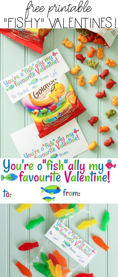 Fish Valentine Free Printable Valentines, Candy Valentines, O Fish Ally, Class Valentines, Valentine Gifts For Kids, Printable Valentines, Preschool Valentines, Printable Valentine, Toddler Valentines