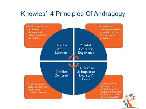 The Adult Learning Theory - Andragogy - of Malcolm Knowles Teacher Reflection Journal, Adult Learning Theory, Happy Job, Learning Theories, Teacher Reflection, Design Learning, Business Acumen, Train The Trainer, Graphic Recording