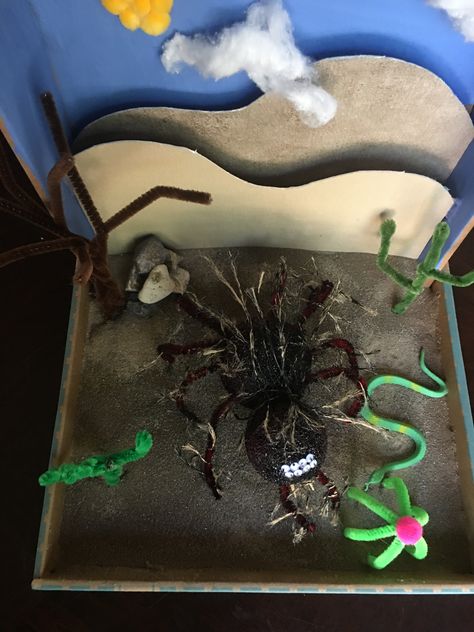 Tarantula - desert habitat Scorpion Habitat Diorama, Habitat Diorama, Tarantula Habitat, Desert Habitat, Halloween Crafts For Kids, School Projects, Scorpion, Halloween Crafts, Habitat