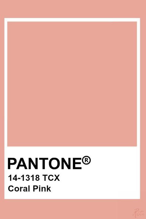 Pantone Tcx, Pantone Color Chart, Pantone Swatches, Pantone Colours, Pantone 2020, Pantone Palette, Pantone Colour Palettes, Color Pantone, Pantone Colors