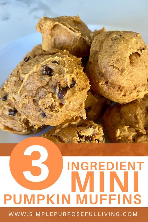 Pumpkin Spice Mini Muffins, Cinnamon Chip Muffins, Pumpkin Chocolate Chip Muffin Recipe, Chocolate Chip Mini Muffins, 3 Ingredient Pumpkin, Chocolate Chip Muffins Recipe, Mini Pumpkin Muffins, Mini Chocolate Chip Muffins, Cake Mix Muffins