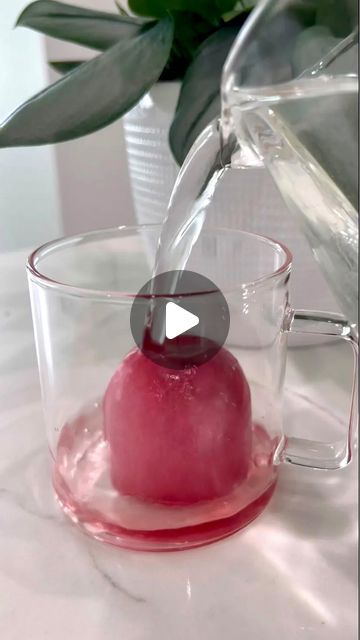 DOMENIQUE MASSARI 🩺HEALTHY RECIPES | PA-C | NUTRITIONIST on Instagram: "ELDERBERRY IMMUNITY BOMBS 💜 Follow @domenique_trupia and comment recipe to have the supplies and recipe sent to your inbox!  . This is a back to school prep you probably didn’t think about! Freeze them now so you’re ready!  . Have you tried elderberry before?" Back To School Prep, Best Cough Remedy, Natural Remedies For Migraines, School Prep, Home Remedy For Cough, Food Medicine, Natural Sleep Remedies, Natural Cough Remedies, Cold Remedies