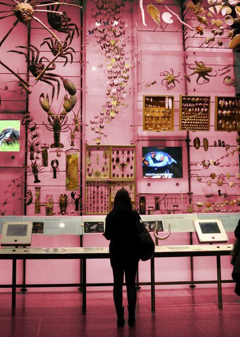 #pink #aesthetic #science #museum Science Museum Aesthetic, Aesthetic Science, Museum Curator, College Romance, Career Vision Board, Weird Science, Strange Places, Dream Career, Instagram Photo Editing