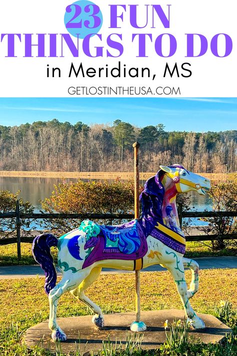 Visit Mississippi, Meridian Mississippi, Mississippi Travel, Alabama Vacation, Queen City, Roadside Attractions, Historical Landmarks, Travel Time, Travel Bug