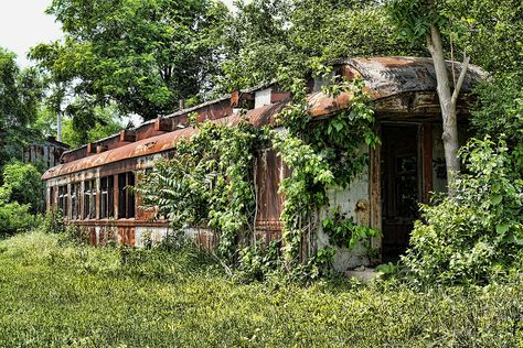 Abandoned Railroad, Abandoned Trains, Abandoned Train, Forgotten Places, Guest Cabin, Rail Car, Old Trains, Old Train, Party House