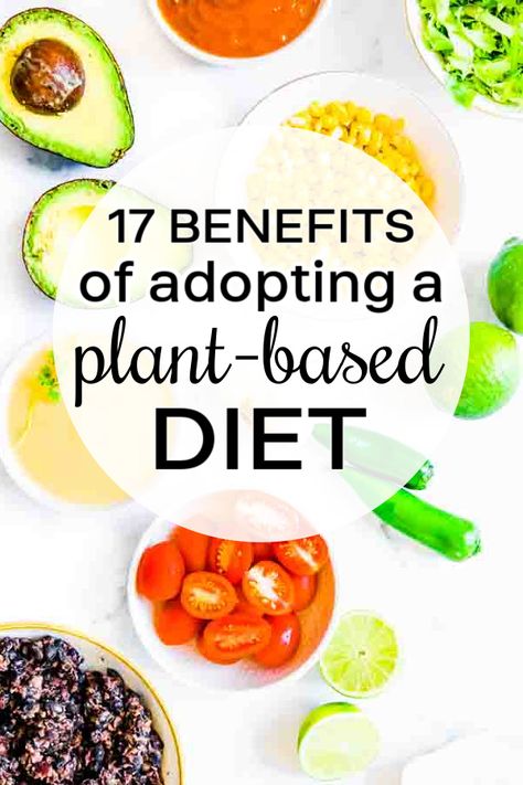 Benefits Of Plant Based Diet, Plant Based Diet For Beginners, Plant Based Recipes For Beginners, Benefits Of Vegetarian Diet, Plant Based Benefits, Plant Based Diet Benefits, Vegetarian Benefits, Vegan Benefits, Quick Healthy Snacks