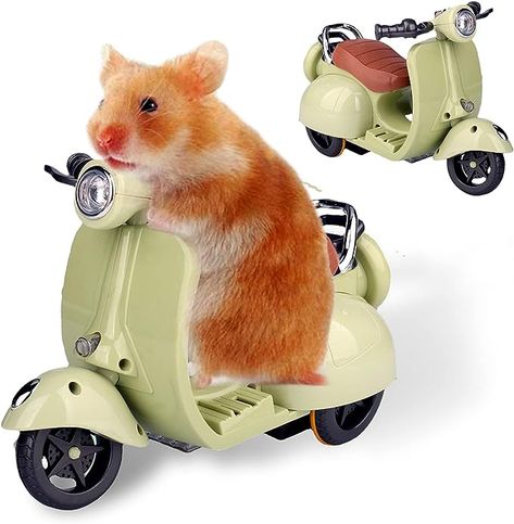 Amazon.com : ZUOLUN Hamster Toys Hamster Motorcycle Toy: Motorcycle Guinea Pig Toys, Hamster Hideout Motorcycle, Pet Rat Toy for Dwarf Syrian Hamster Mice Mouse Gerbil Rat or Other Small Pets (Green) : Pet Supplies Hamster Hideout, Pig Toys, Mice Mouse, Rat Toys, Pet Rat, Hamster Toys, Syrian Hamster, Guinea Pig Toys, Chopper Bike