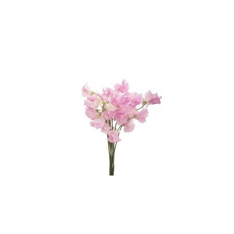 Sweet Peas Flower Muse ❤ liked on Polyvore featuring flowers Pink Sweet Pea Flowers, Bride Bouquets White, Flower Table Decorations, Pink Centerpieces, Sweet Pea Flowers, Diy Bouquets, Pink Home Decor, Sweet Peas, Small Bouquet