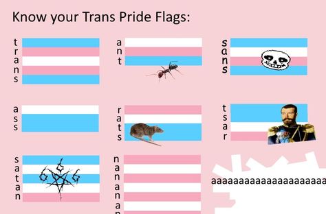 Lgbtq Quotes, Lgbt Humor, Trans Pride Flag, Tag Yourself, Trans Boys, Lgbt Memes, Trans Flag, Lgbtq Funny, Gay Memes