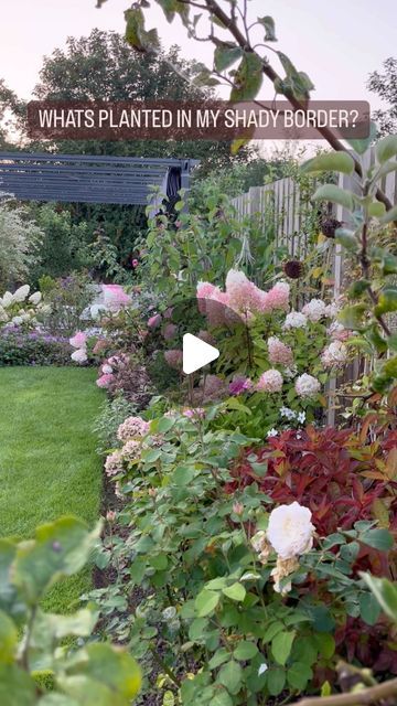 Clayres Country Garden on Instagram: "So the question many people have been asking is: Clayre, What’s in your shady border? So here’s an overview I hope helps but in truth there’s more than an reel will cope with 😆

There is however a saved highlight that had more detailed pictures, information and plants listed. Please do ask though if anything is missing or you’re unsure. And if your tackling more damp shade there one for that border too. 

Edit to add since this reel has had such a large reach: My garden is in Herefordshire, England. The border is total shade Oct to Apr then light levels increase more each day changing to part shade. Light levels are at their peak in June here when the border gets around 6-7 hours of sun. Winter temperatures can get down to -7 on average, good amount o Sunny Border Planting Ideas, Shady Border Plants Uk, Garden Borders Ideas, Shade Border Garden, Shade Garden Design Layout, Garden Design Ideas Layout, Glass House Garden, Herefordshire England, Garden Border Plants