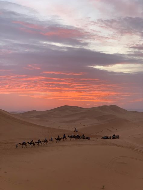 sunset in the desert of merzouga (morocco) Sahara Desert Morocco, Desert Sunset Aesthetic, Morocco Dessert, Marrakech Morocco Aesthetic, Morocco Pictures, Merzouga Morocco, Moroccan Desert, Desert Morocco, Morocco Desert