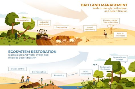 Making the Most of the ‘UN Decade on Ecosystems Restoration’: Bioregional Regenerative Development as a Deep Adaptation Pathway Ecosystem Restoration, Agriculture Projects, Systems Thinking, Erosion Control, Water Cycle, Land Management, Food Forest, Rain Garden, Replant