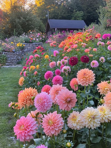 Garden With Flowers Ideas, Pretty Flowers Garden, Gardening Flowers Aesthetic, Pick Flower Garden, Flowers For Fairy Garden, Lush Flower Garden, Large Flower Garden Ideas, Wildflowers In Yard, Garden Pictures Aesthetic