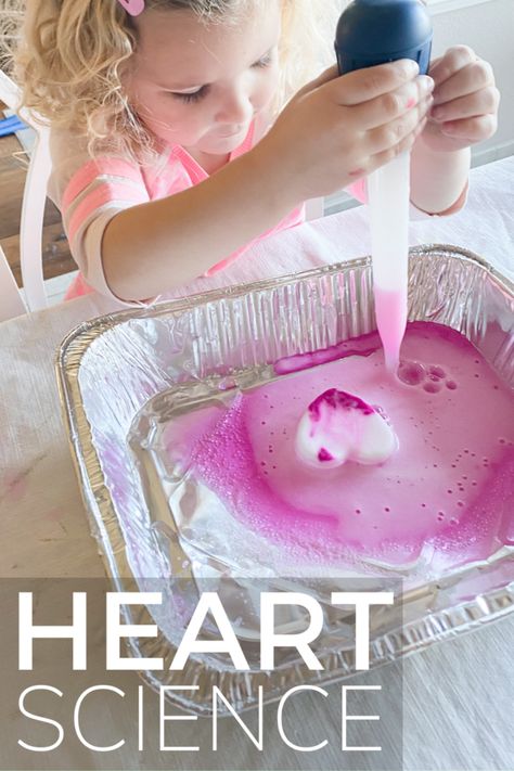 Baking Soda Valentine's Day Science Activity - Toddler Approved Simple Art Activity, Heart Ice, Holiday Science, Indoor Activities For Toddlers, Circle Crafts, Valentine Activities, Science Activities For Kids, Craft Punches, Valentines Day Activities