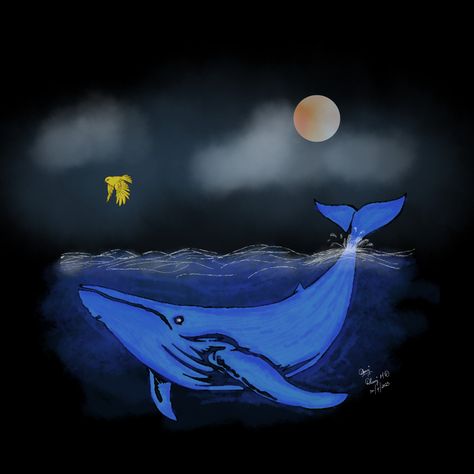 Whale and bird Whale Drawing, Whale Painting, Hand Lettering Quotes, Night Painting, Blue Whale, Lettering Quotes, Killer Whales, Bird Drawings, Sea Creatures