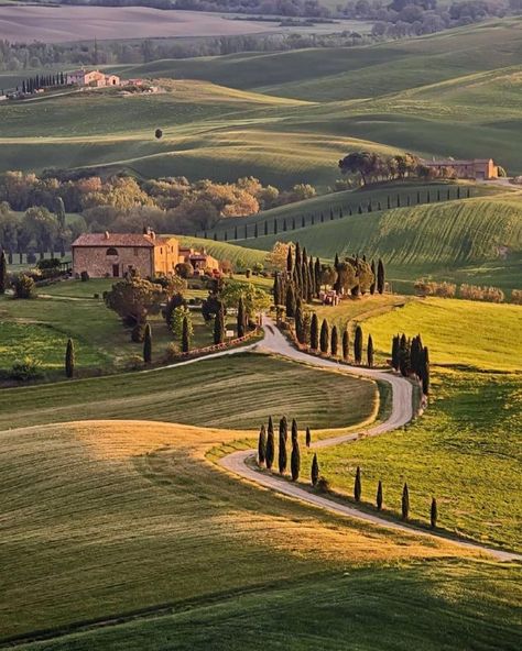 Tuscany Vineyard, Tuscany Landscape, Val D Orcia, Tuscany Travel, Toscana Italia, Italian Countryside, Italy Aesthetic, Italian Villa, Countryside House