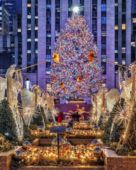 It’s lit! The Rockefeller Center Christmas tree in all her glory 🎄(��� Christmas Tree Nyc, New York Noel, Christmas Tree Photography, Rockefeller Center Christmas Tree, Rockefeller Center Christmas, Christmas Tree Wallpaper, Nyc Christmas, Christmas Scenery, Black Christmas Trees