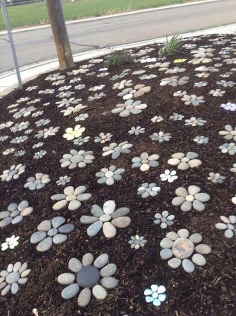 Rock Garden Rock Mosaic, Arizona Backyard, Rock Landscape, Taman Air, نباتات منزلية, Rock Flowers, Rock Garden Design, Rock Garden Landscaping, The Secret Garden