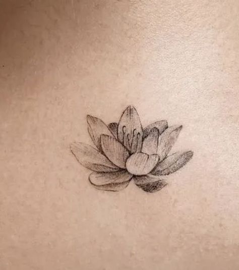 Lotus Flower Side Tattoo, Lotus Flower Tattoo Ribs, Lotus Flower Rib Tattoo, Realistic Lotus Tattoo, Open Lotus Flower Tattoo, Lotus Flower Growth Tattoo, Lotus Flower Tattoo Placement For Women, Pink Lotus Tattoo, Small Lotus Tattoo