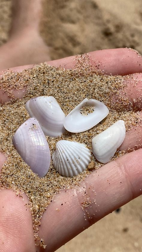 Summer Nails Sea, Beige White Aesthetic, Alexa + Core + Aesthetic, Goa Aesthetic, Creative Beach Pictures, Alcoholic Drinks Pictures, Aesthetic Coastal, Shells Beach, Beach Instagram Pictures